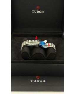 Tudor Royal 41