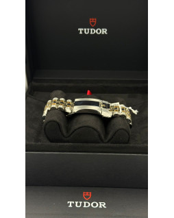Tudor Black Bay 41 S&G