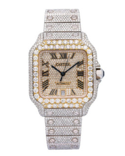 Santos de Cartier Iced Out...