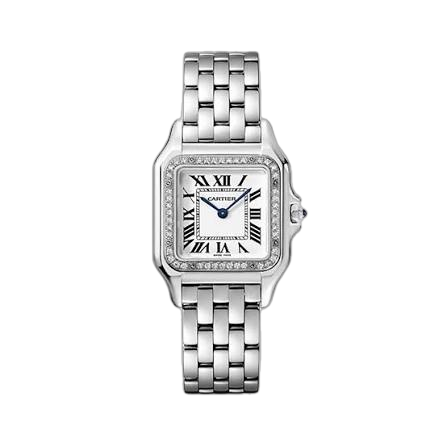 Cartier Panthère Medium