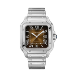 Cartier Santos de Cartier