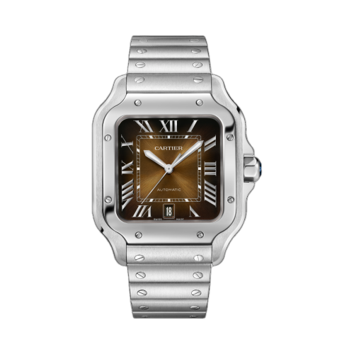 Cartier Santos de Cartier