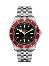 Tudor Black Bay