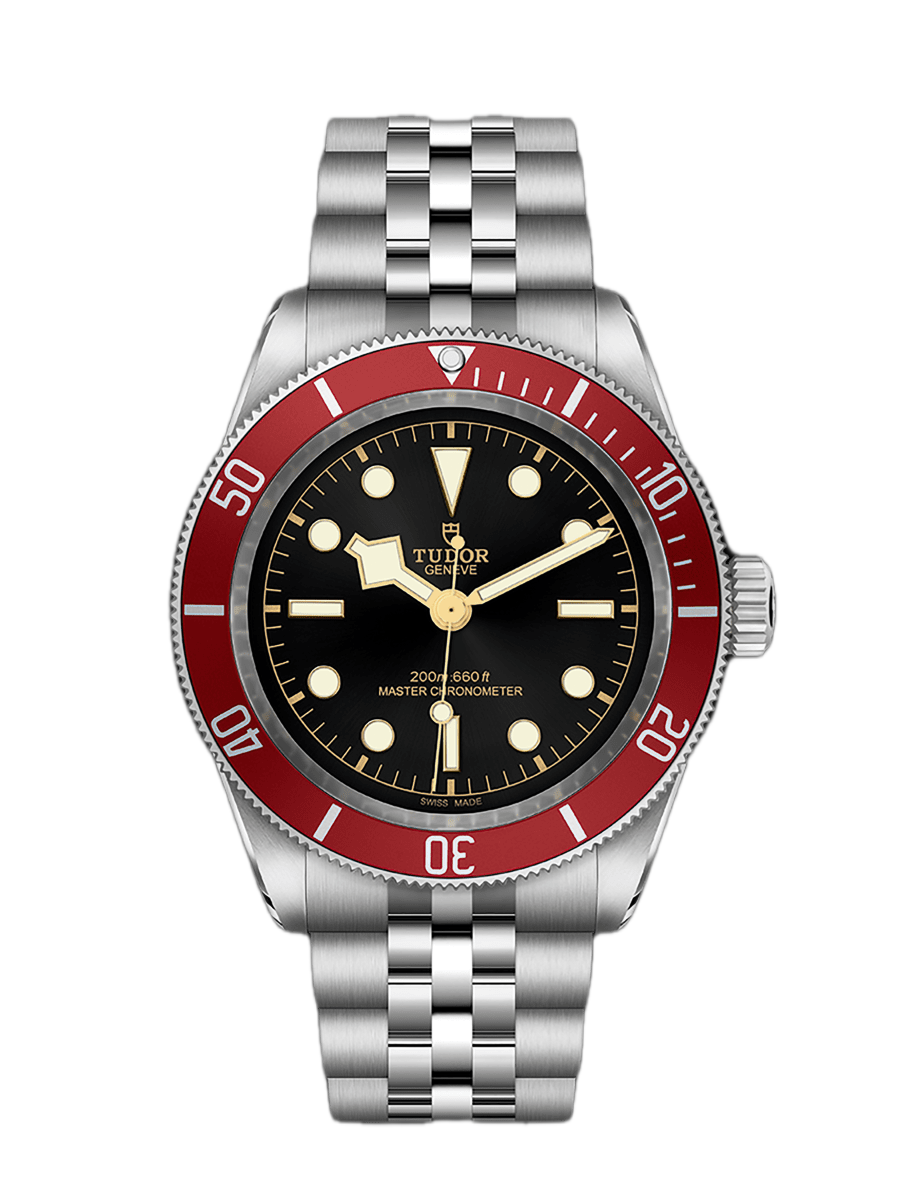 Tudor Black Bay