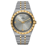 Tudor Royal 41