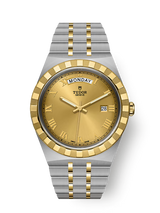 Tudor Royal 41
